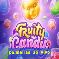 palmeiras ao vivo futebol play